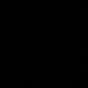 Meet your Posher, Aisha